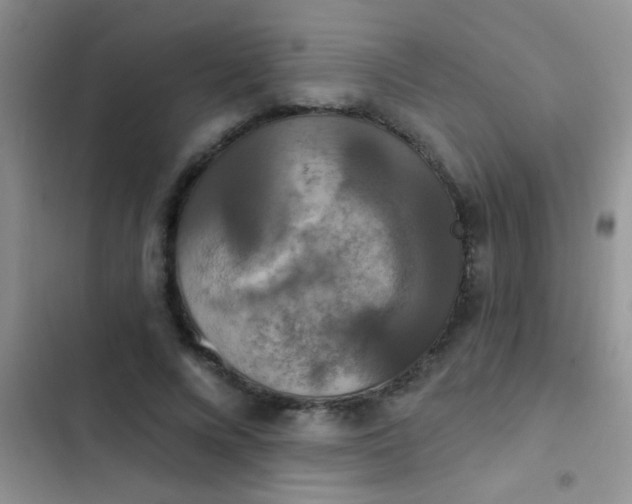 X0000102530688200808221905