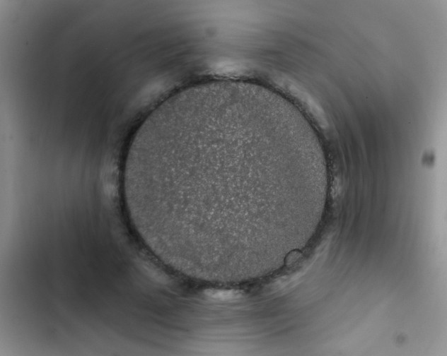 X0000102530689200808221905