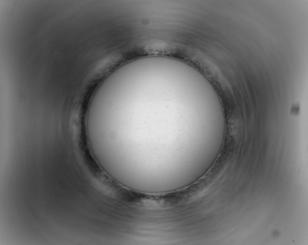 X0000102530690200808221905