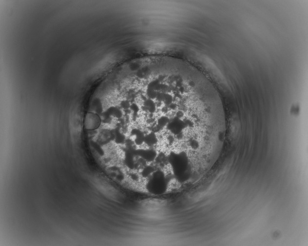 X0000102530691200808221905