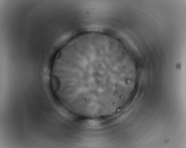 X0000102530692200808221905