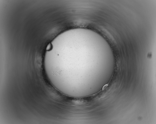 X0000102530693200808221905