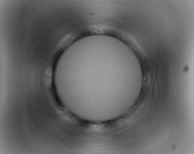 X0000102530694200808221905