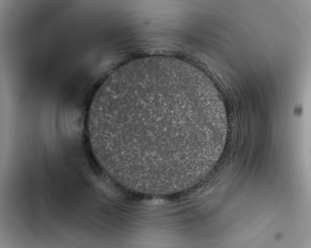 X0000102530695200808221905