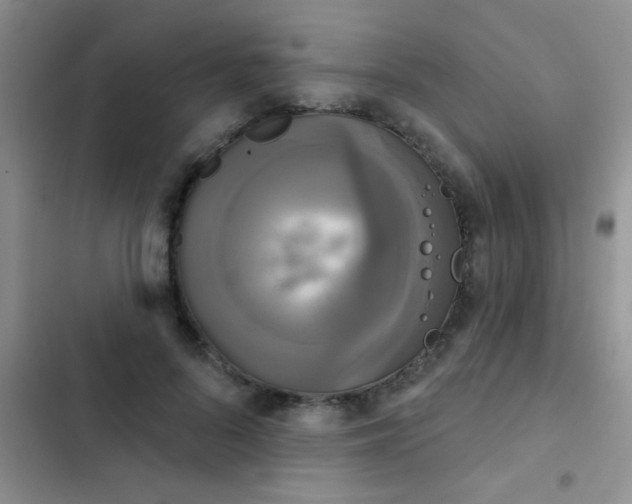 X0000102530696200808221905