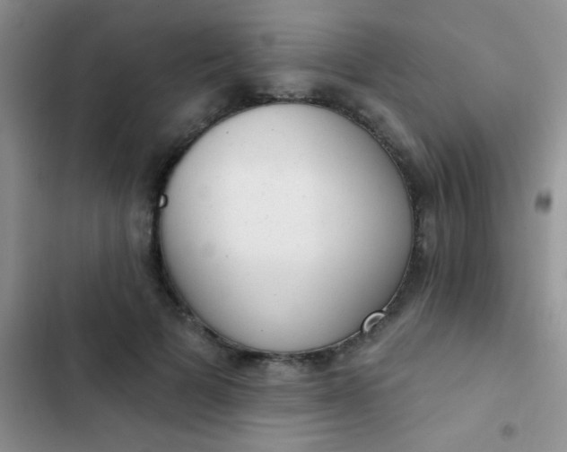 X0000102530697200808221905