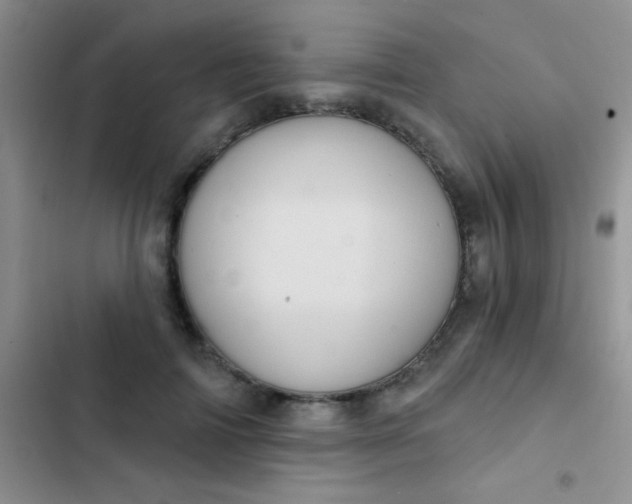 X0000102530698200808221905