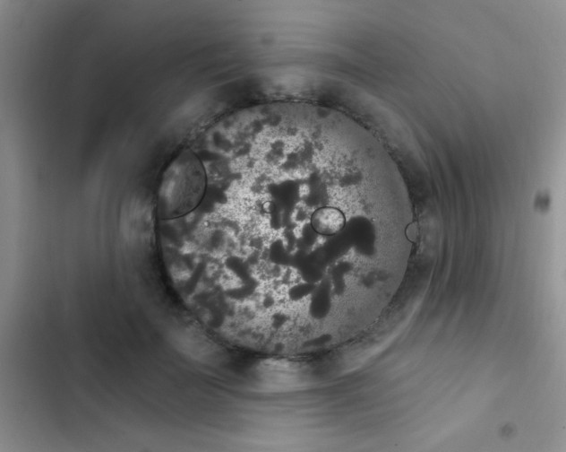 X0000102530699200808221905