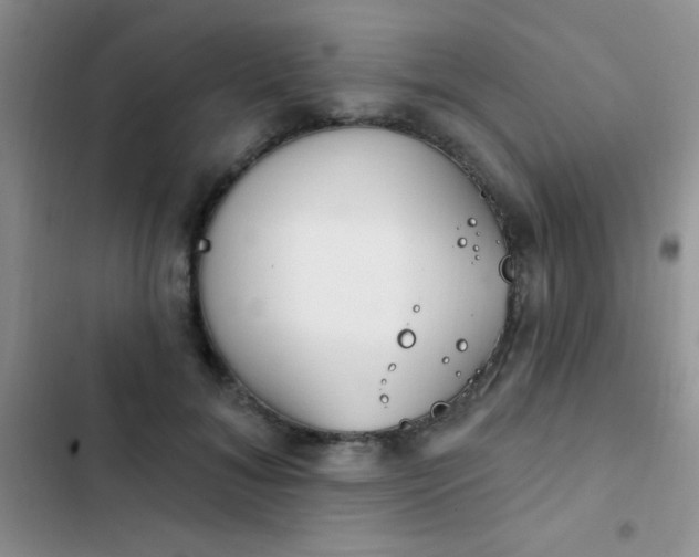 X0000102530700200808221905