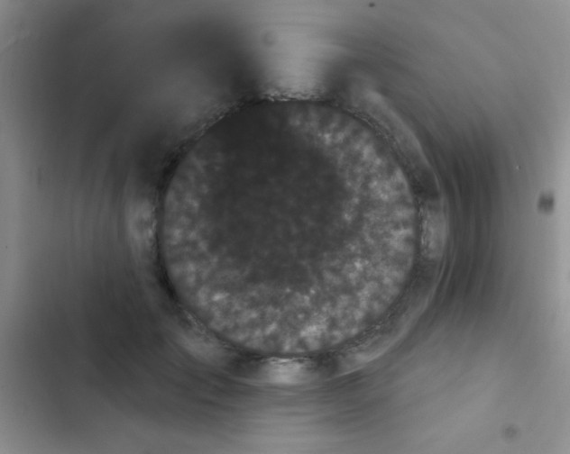 X0000102530701200808221905