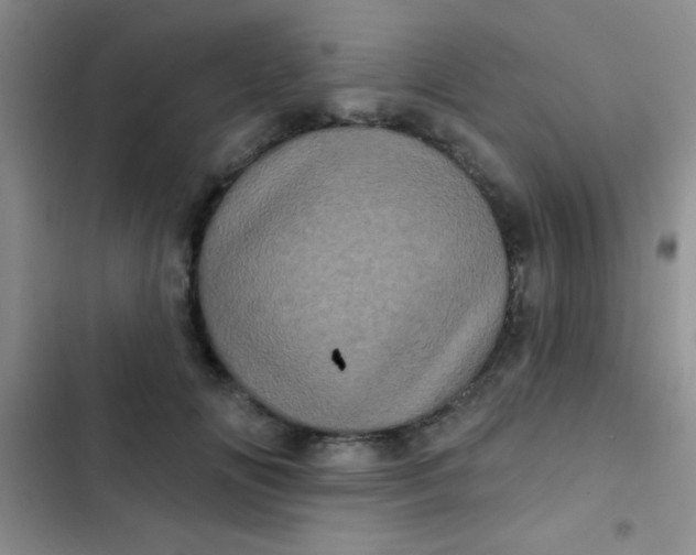 X0000102530702200808221905