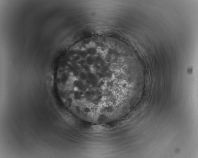 X0000102530703200808221905