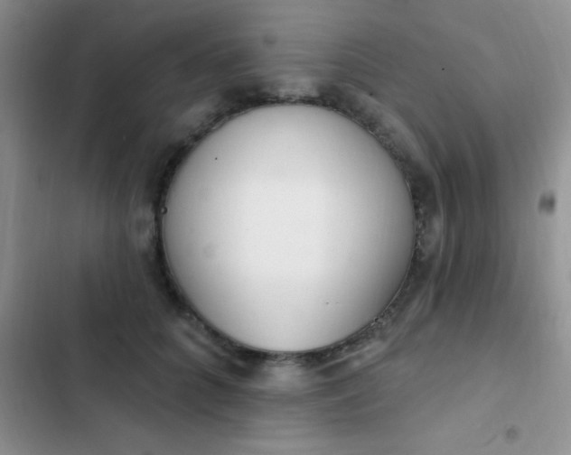 X0000102530704200808221905