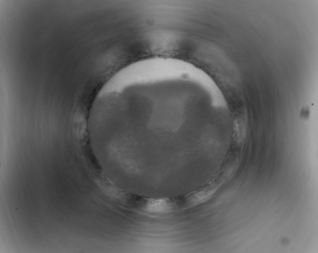 X0000102530705200808221905