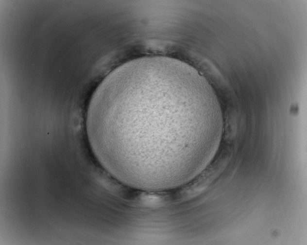 X0000102530706200808221905