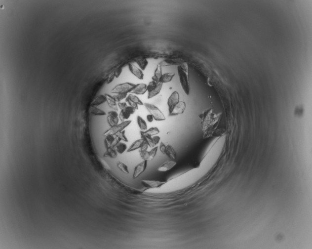 X0000102530707200808221905