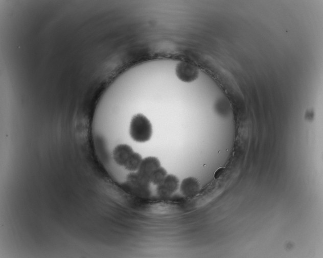 X0000102530708200808221905