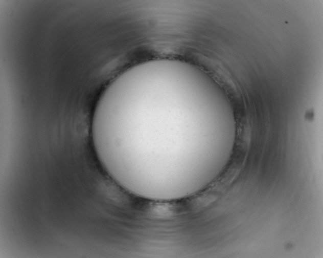 X0000102530710200808221905