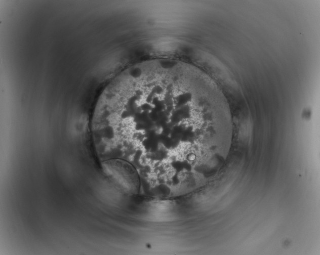 X0000102530711200808221905