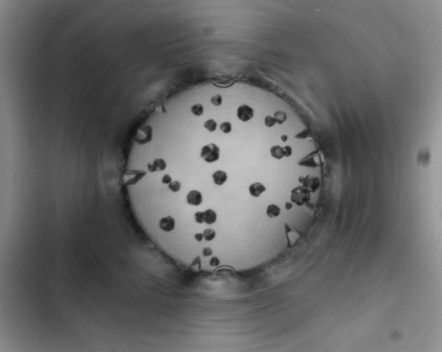 X0000102530712200808221905