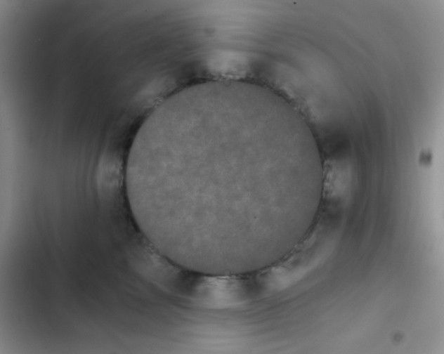 X0000102530713200808221905