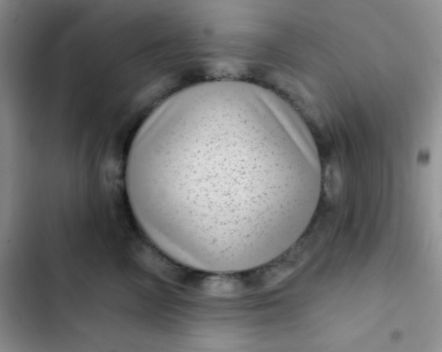 X0000102530714200808221905