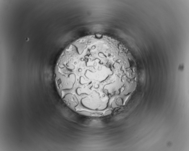 X0000102530715200808221905