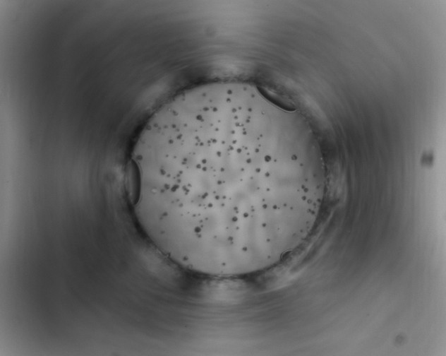 X0000102530716200808221905