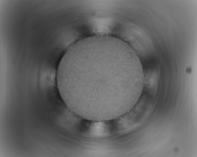 X0000102530717200808221905