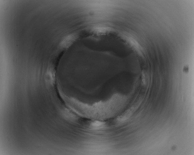 X0000102530718200808221905