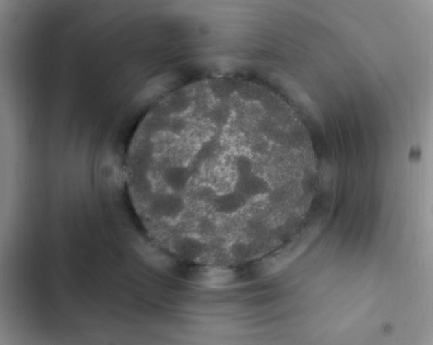 X0000102530719200808221905