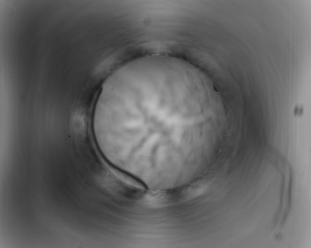 X0000102530720200808221905