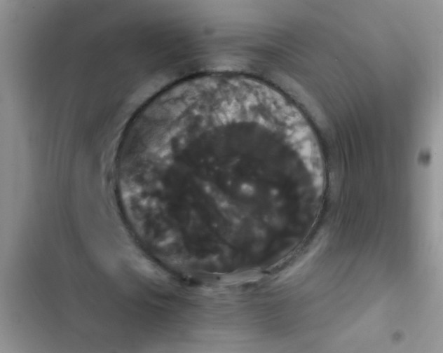 X0000102530721200808221904