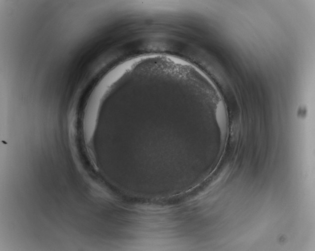 X0000102530722200808221904