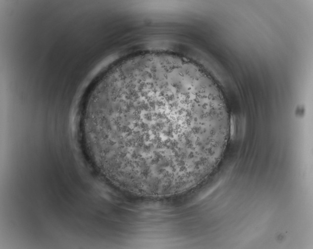 X0000102530723200808221904