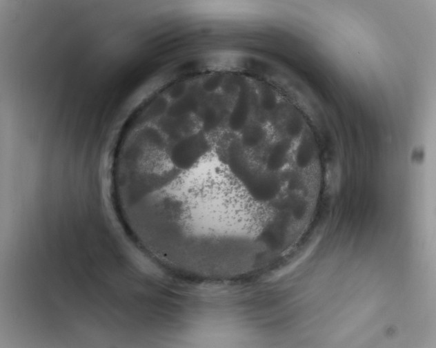 X0000102530725200808221904