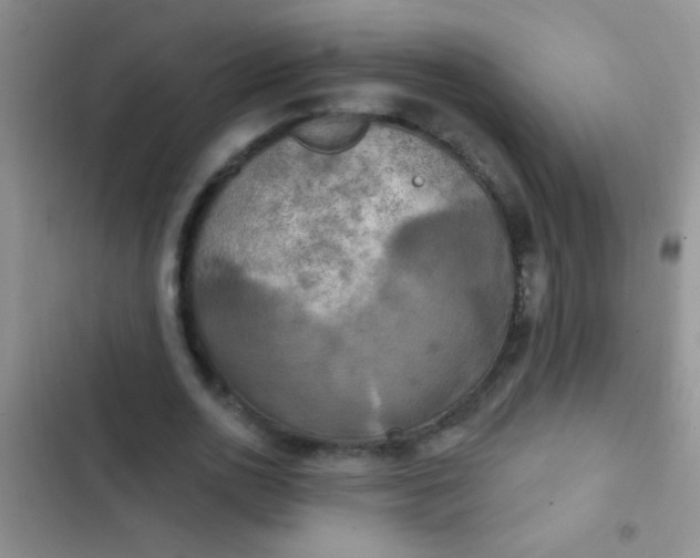 X0000102530726200808221904