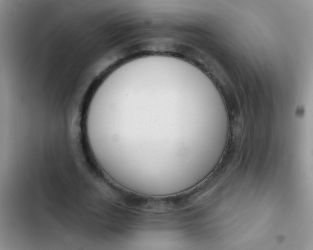 X0000102530727200808221904