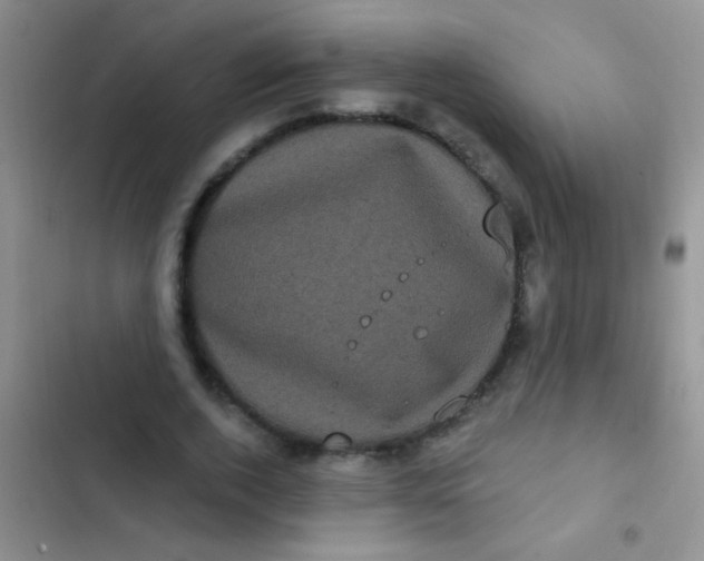 X0000102530728200808221904