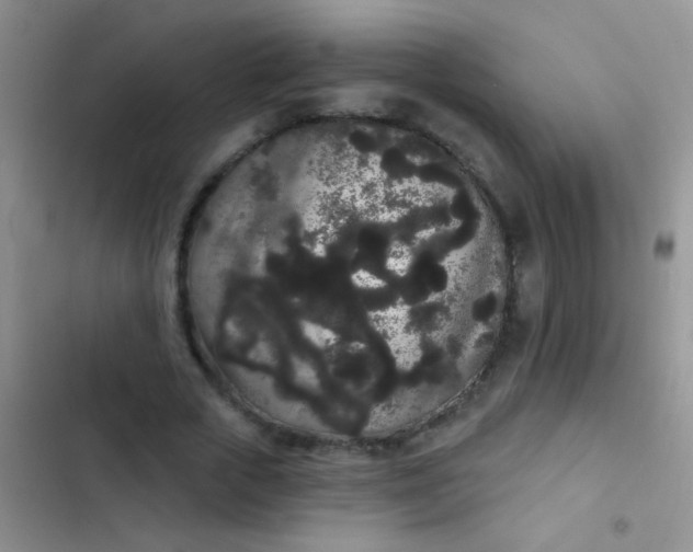 X0000102530729200808221904