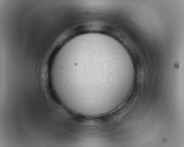 X0000102530731200808221904