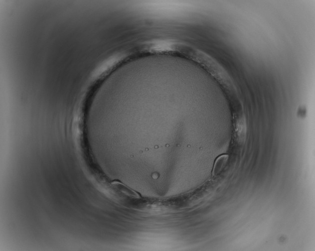 X0000102530732200808221904