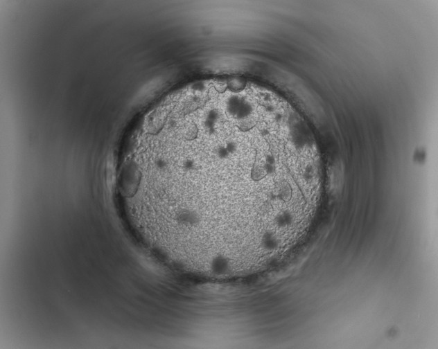 X0000102530733200808221904