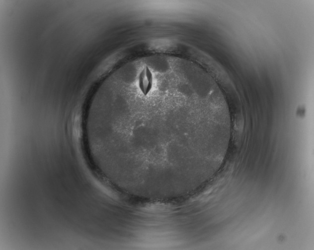 X0000102530734200808221904