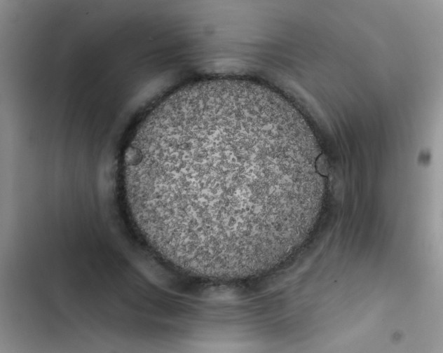 X0000102530735200808221904