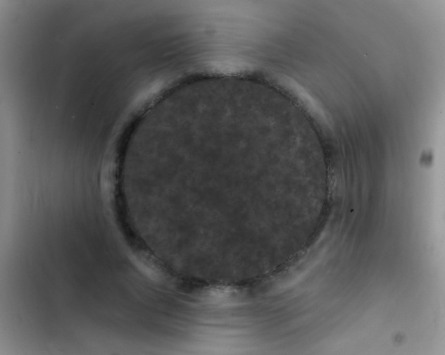 X0000102530736200808221904