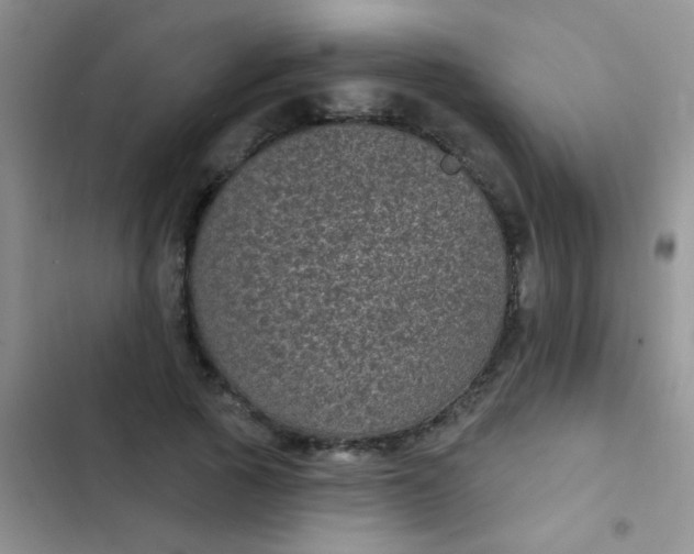 X0000102530737200808221904