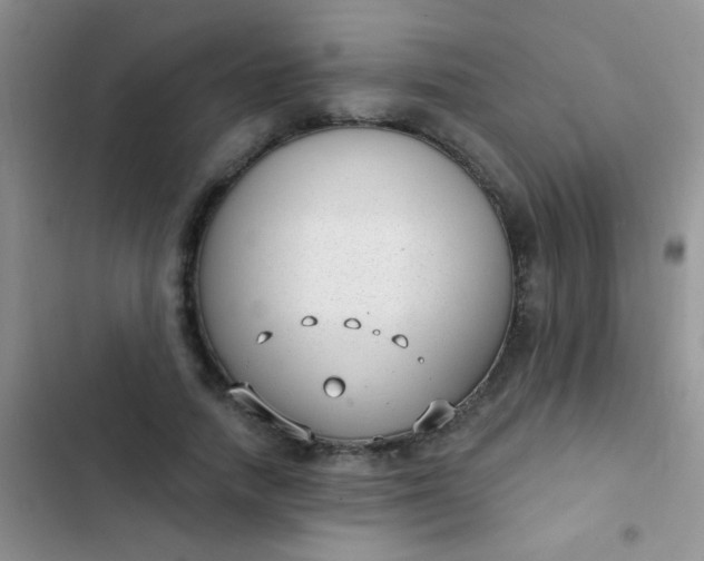 X0000102530738200808221905