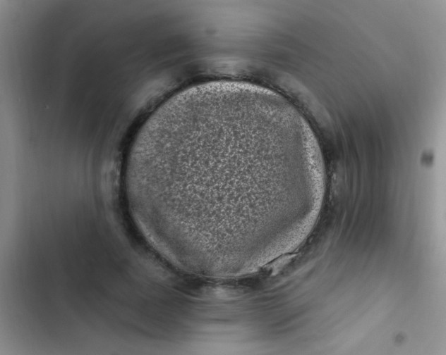 X0000102530739200808221905