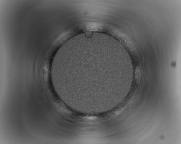 X0000102530741200808221905